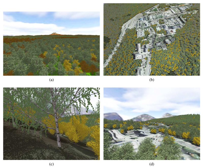 Figure 9: Renderings from the test scenes PugetSound and UniSB: (a) PugetSound 40km x 40km (flight) ; (b) UniSB 3km x 3km (birds eye view); (c) Puget Sound (close up) and (d) UniSB (flight).