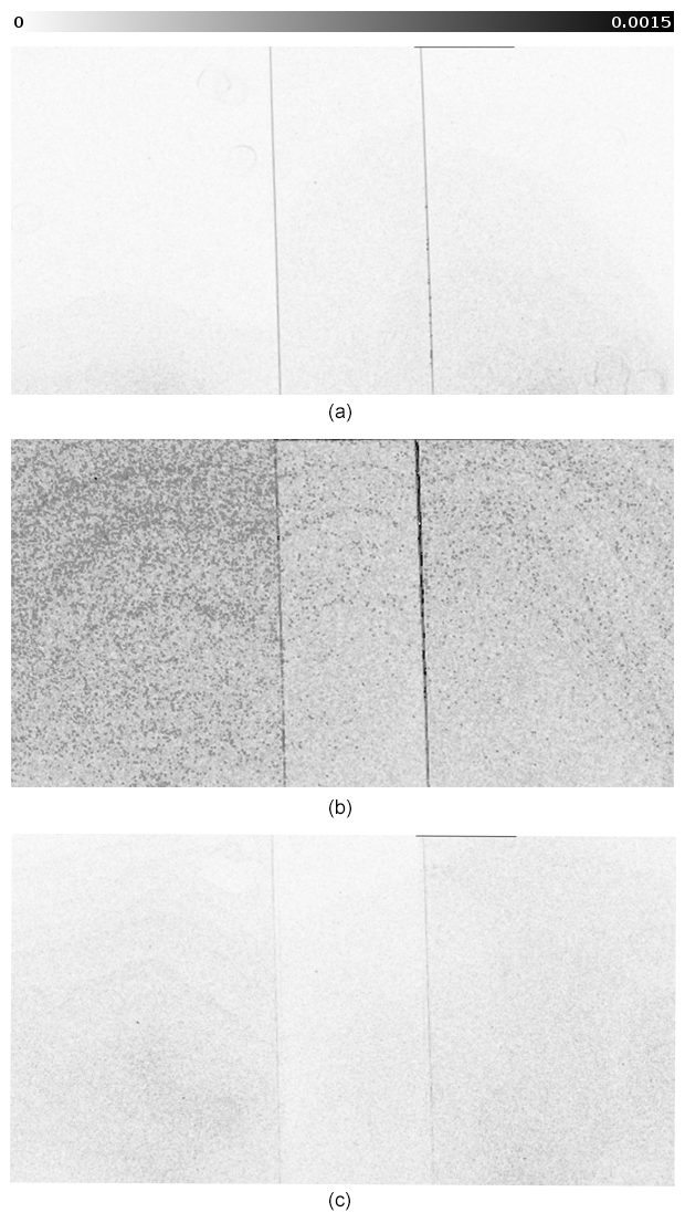 The measured gradients on the bottom two segments of the display projecting black: No correction (a), (b) and gradient limitation (c). Note that the strong lines marking the border of the overlapping area are fainter in (c) than in (a). Since these borders are well detectable by the human eye, this presents an improvement. The noise in (b) and (c) is caused by the dithering of the used DLP projectors.