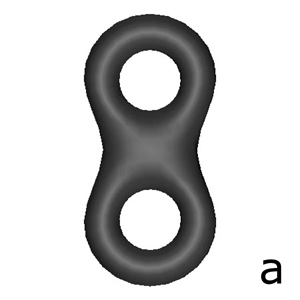 Backprojection of distance values in image 2(a) over the 3D model. Mesh vertices color represent the backprojected distance label. (a) Original mesh; (b) Mesh in Figure 2(a) rotated 180 degrees over the X axis, with grey levels proportional to the distances to the external silhouette; (c) Mesh in 2(a) rotated 205 degrees over the X axis, with grey levels proportional to the distances to the external silhouette