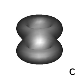 Backprojection of distance values in image 2(a) over the 3D model. Mesh vertices color represent the backprojected distance label. (a) Original mesh; (b) Mesh in Figure 2(a) rotated 180 degrees over the X axis, with grey levels proportional to the distances to the external silhouette; (c) Mesh in 2(a) rotated 205 degrees over the X axis, with grey levels proportional to the distances to the external silhouette