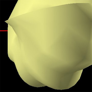 A Distance Transform based simplification for a different point of view 