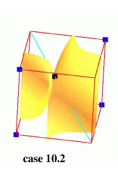 Topological configurations with two ambiguous faces: trilinear model in yellow-orange, isopoints in black, positive nodes in blue, rays in cyan.