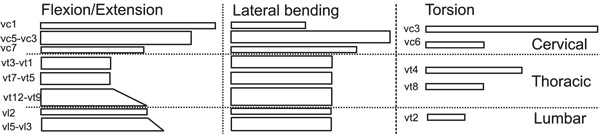 Joint ranges of the spine at different levels of the spine along the three anatomic axis .