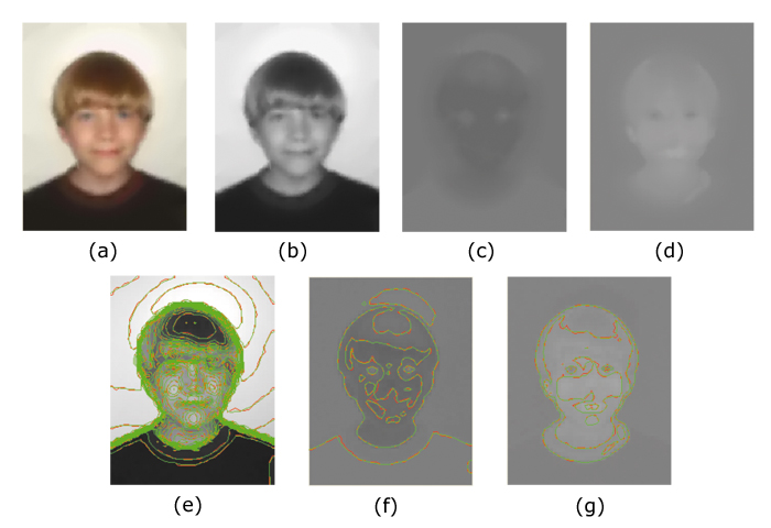 Colour components and their contours: (a) Colour image, (b) Y-component, (c) U-component in greyscale, (d) V-component in greyscale, (e) Contourised Y for 2(b), (f) Contourised U for 2(c), (g) Contourised V for 2(d)